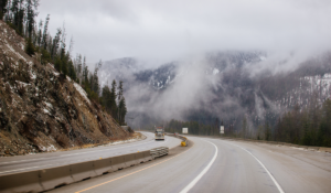 Foggy highway road